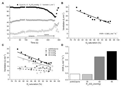 Measuring Peripheral Chemoreflex Hypersensitivity in Heart Failure